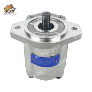 Pompe à déplacement fixe OEM 227785001 Pompe à engrenages pour bétonnière SCHWING 14CM3 - Product Image 5