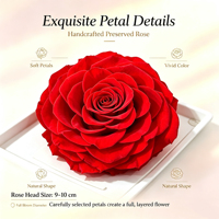 Fleurs de pivoine stabilisées artisanales Liviflo en gros, longue durée (3-5 ans), pour Pâques, la Saint-Valentin, le Nouvel An, Noël, la remise des diplômes