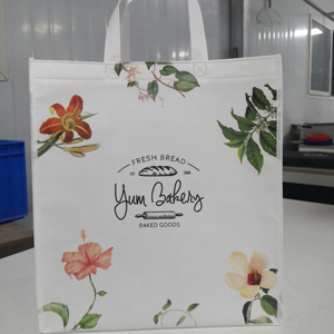 Factory Wholesale Eco-Friendly Custom Printed Non-Woven Shopping Tote Laminated Reusable Carry Bags for Retail - Product Image 1