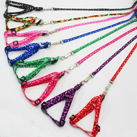 Laisse réglable pour chiot, chien, chat, accessoires pour animaux de compagnie, harnais mignon pour chien