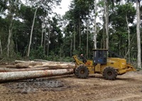Skidder – tracteur de forêt, machine à bûcher, tracteur de bois, dérapeur de forêt, treuil de forêt, treuil de forêt, treuil de bûches de bois