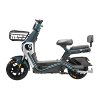 Le vélo électrique à moteur silencieux de 500 watts, de conception récente, est disponible en plusieurs couleurs avec un cadre en acier.