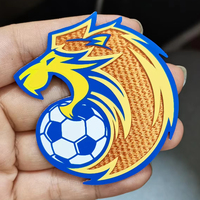 Étiquettes thermocollantes personnalisées en silicone Tatami pour vêtements, patchs logo d'équipe de football pour chaussures, sacs et maillots