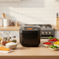 Vente directe usine – Cuiseur électrique intelligent multifonction 5,1-6L avec écran tactile numérique LCD, revêtement antiadhésif, cuve intérieure en plastique, idéal pour les hôtels