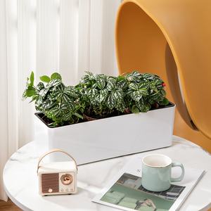 Macetas Rectangulares Grandes con Autorriego C294 para Balcones y Alféizares, Macetas de Plástico de Resina de Gran Diámetro - Product Image 6