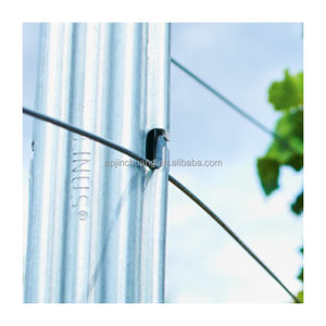 Cọc Cắm Cây Nho Mạ Kẽm Nhúng Nóng Giá Rẻ Cọc Kim Loại Y/T Cột <span class=keywords><strong>Trellis</strong></span> VƯỜN NHO - Product Image 6