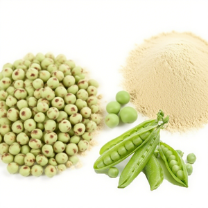 Chất Lượng Cao Pea Protein Bột Từ Tươi Hữu Cơ Màu Xanh Lá Cây Đậu Hà Lan Có Nguồn gốc Thủ Loạt Các Nguồn Hạt Đậu Protein Cho Dinh Dưỡng Thể Thao - Product Image 2
