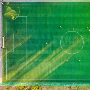 <span class=keywords><strong>Gazon</strong></span> <span class=keywords><strong>synthétique</strong></span> naturel chinois pour jardin, terrain de football, tapis d'herbe verte, <span class=keywords><strong>gazon</strong></span> <span class=keywords><strong>artificiel</strong></span> extérieur - Product Image 6