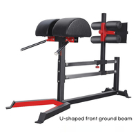 Chaise romaine ajustable Extension de chèvre Entraîneur de force musculaire Glute Jambon Développeur Inverse Hyper Training Bancs d'exercice