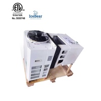 IceBear Chambre Froide Latérale Tout-en-un à Refroidissement et Congélation Économe en Énergie, Plage de Température -22~10°C avec Certification ETL
