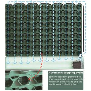 Module de jardin vertical, système de mur végétal vertical, système de mur végétal suspendu pour l'intérieur et l'extérieur - Product Image 4