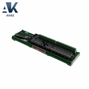 5501-376 Módulo de E/S analógico Woodward - Product Image 2