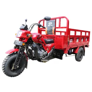 Jialing moto triciclo tricicli tricicli motorizzati tre ruote moto classico per adulti DOT Cargo 36V Open 15L