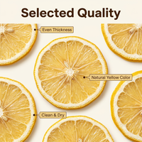 Tranches de citron séchées ISO HACCP 100% citron, ingrédient de fruit déshydraté, emballage personnalisé disponible pour les acheteurs mondiaux, exportation