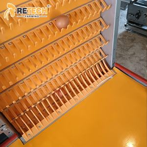 Equipo Automático para Avicultura en Baterías a Buen Precio en Uganda - Product Image 2