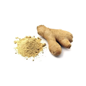 Best Selling High Quality Indian Exporter's Pure and Natural <b>Ginger</b> Dry Extract Powder for Food and Flavor Making - Product Image 3