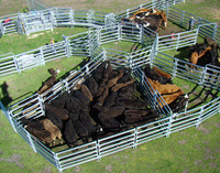 Paneles de Cerca para Ovejas de Acero al Carbono Galvanizado en Caliente de 6 Pies, Cercas para Ganado, Puertas para Granjas, Corrales de Seguridad para Animales
