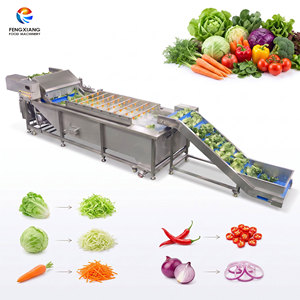 Laveuse à légumes en acier inoxydable 1-1,5 t/h, équipement de nettoyage à bulles, ligne de traitement de nettoyage personnalisée WA-2000 - Product Image 1