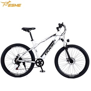 ร้อนขาย20นิ้วยางไขมัน500วัตต์1000วัตต์มอเตอร์ชุด Ebike/folding Ebike/ เด็กสกปรกจักรยานไฟฟ้ามีสต็อก - Product Image 6