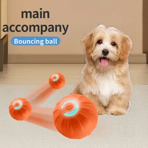 Smart Dog Ball giocattolo interattivo per animali domestici in Silicone che rimbalza palla da Tennis con dolcetti per cani e gatti