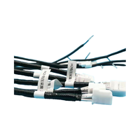 Single-Core Automotive Connector Cable Female Video Wiring Harness for Toyota Corollas Camrys Customizable PVC Discount Voucher
