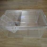 Cages d'élevage expérimental pour rats et souris AYEROXO PC, grandes et petites, blanches transparentes, cages pour animaux OEM