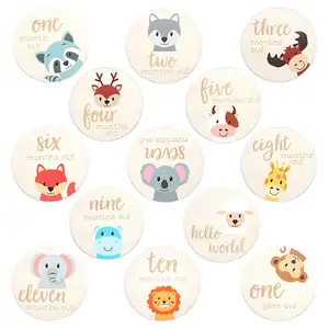 カスタム刻印印刷Hello World Birth Wooden Sign Baby Arrival Birth Shower Milestone Discs Baby Monthly Milestone Cards