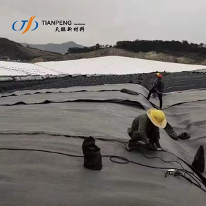 Geonet Giá Lưới Thoát Nước <span class=keywords><strong>Geocomposite</strong></span> HDPE 3d Lưới Thoát Nước Tổng Hợp Cho Bãi Rác Cấu Trúc Ngầm Thoát Nước - Product Image 6