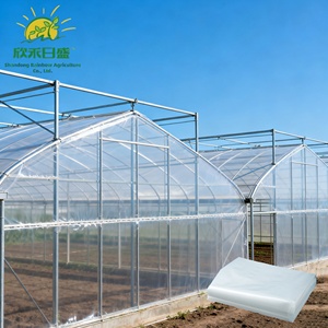 Serres agricoles en film PE pour la culture des fraises, <span class=keywords><strong>de</strong></span> bonne qualité et à <span class=keywords><strong>prix</strong></span> raisonnable, vente en gros - Product Image 1