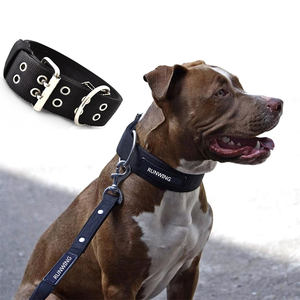 <span class=keywords><strong>Collar</strong></span> táctico para perros medianos y grandes, productos de entrenamiento duraderos, hebilla de <span class=keywords><strong>Metal</strong></span>, acolchado de nailon ajustable, novedad - Product Image 1