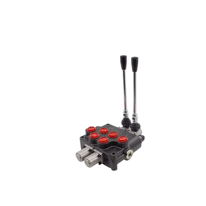 Válvula de Control Direccional Monobloque Hidráulica de 2 Bobinas P120-A1-GKZ1 con Retorno por Resorte |   Fabricante Directo de Fábrica y OEM/ODM - Product Image 6