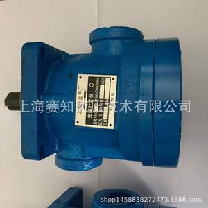 Bomba de Paletas YB-D25, Fábrica de Componentes Hidráulicos de Shanghái, Alta Calidad, Importación, Precio Nacional Competitivo, Nuevo Equivalente a YBD25 - Product Image 4