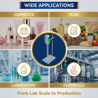 Homogénéisateur à Cisaillement Élevé AE30, Machine de Mélange et de Dispersion pour Produits Laitiers, Émulsifiant Alimentaire en Acier Inoxydable SS316L, Équipement Hybride 150-35000ml pour Usage en Laboratoire