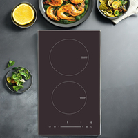 Kompor induksi panas 2-Burner, kompor mekanik Panel keramik listrik daya tinggi pemanasan Cepat rumah tangga