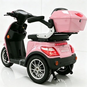 Triciclo Elettrico per Anziani 2026 OEM ODM con Pneumatici Larghi, Tre Ruote e Due Posti - Product Image 3
