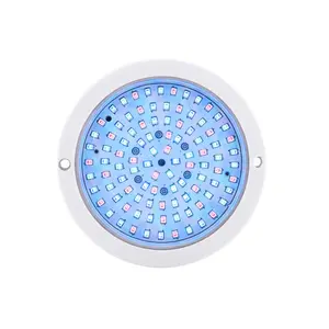 Swimming Pool Lamp Refined LED Low Power 12V 6W Underwater Pool And SPA Accessory Lighting Rgb Color Smd2835 Led Swimming Pool Lights