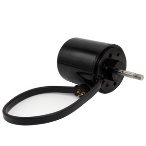 Motor BLDC Personalizado para Limpiador <span class=keywords><strong>de</strong></span> Piscinas, Propulsor Subacuático Impermeable IP68 para Aspiradora Robótica <span class=keywords><strong>de</strong></span> Piscinas, Propulsión Sumergible OEM - Product Image 1