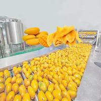 Automatische Gedroogde Groente Fruit Gesneden Mango Papaja Palm Dadelcurcuma Abrikozen Chips Making Machine