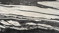 Veine blanche granit de Copacabana brésilien granit de cheval noir grandes dalles 600x600mm carreaux de granit noir