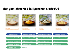 Suplemen nutrisi kalsium Alfa Ketoglutarate AKG <span class=keywords><strong>Ca</strong></span> bubuk - Product Image 5