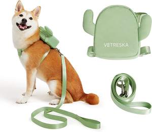 ชุดสายจูงสุนัขและแมวแบบกำหนดเอง,ชุดสายจูงสุนัขแคคตัสน่ารักสวมใส่สบาย - Product Image 1