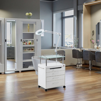 Nouveauté Chariot électrique multifonctionnel au design moderne pour salons de beauté Lampe sans ombre avec matériau métallique pour esthéticiennes
