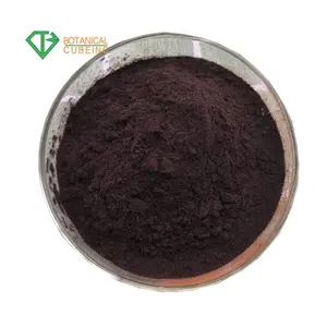 의료 보충 안티 oxident Aronia Melanocarpa 추출물 Chokeberry Aronia 추출물