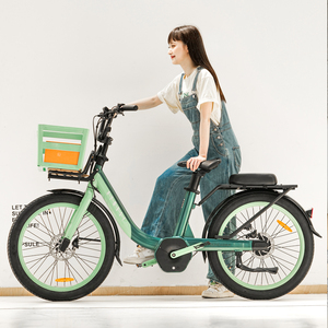 จักรยานไฟฟ้าอีไบค์แบบวินเทจจักรยานขี่ในเมืองความเร็วเดียว - Product Image 6