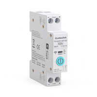 Interrupteur intelligent WiFi Tuya DC 63A 12-80V, commande à distance par application, 1P+N, rail DIN, interrupteur d'alimentation intelligent pour la maison