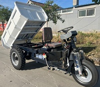 Camion benne électrique mini-dumper sur roues pour l'exploitation minière, avec une charge utile de 400 kg et une vitesse de 70 km/h