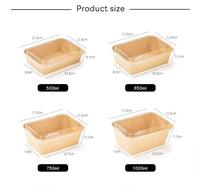 Boîte à emporter rectangulaire en papier kraft brun de qualité alimentaire durable en gros avec couvercle transparent pour pique-nique et camping