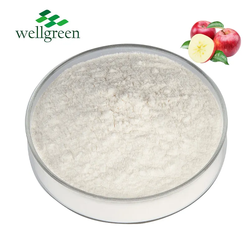 2024 Factory Latest Batch Fruit Natural Supplement Apple Extract Phloretin Powder