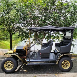 El Auto Retro Personalizado Más Vendido de China: Vehículo Eléctrico Vintage de 8 Plazas a Precio Accesible - Product Image 6