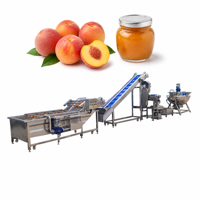 Ligne de production industrielle de confiture de fruits, machine de transformation commerciale de pâte de tomate et de ketchup pour la fabrication de sauces aux fruits